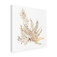 thumbnail image 2 of Wild Apple Portfolio 'Pacific Sea Mosses XII White Sq' Canvas Art, 2 of 3