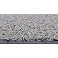 thumbnail image 6 of Koeckritz Soft & Cozy Area Rug, 6' x 10', Pewter, Stain Resistant, Pet & Kid Friendly, 6 of 6