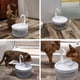 thumbnail image 4 of Fuente para perros y gatos, fuente para mascotas con cuello de cisne, dispensador de agua para gatos, fuente automática para beber, funcionalidad de alta precisión, 4 of 8
