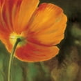 thumbnail image 3 of Viollet, Pierre 15x15 Black Modern Framed Museum Art Print Titled - Coquelicots dans le soleil 3, 3 of 5