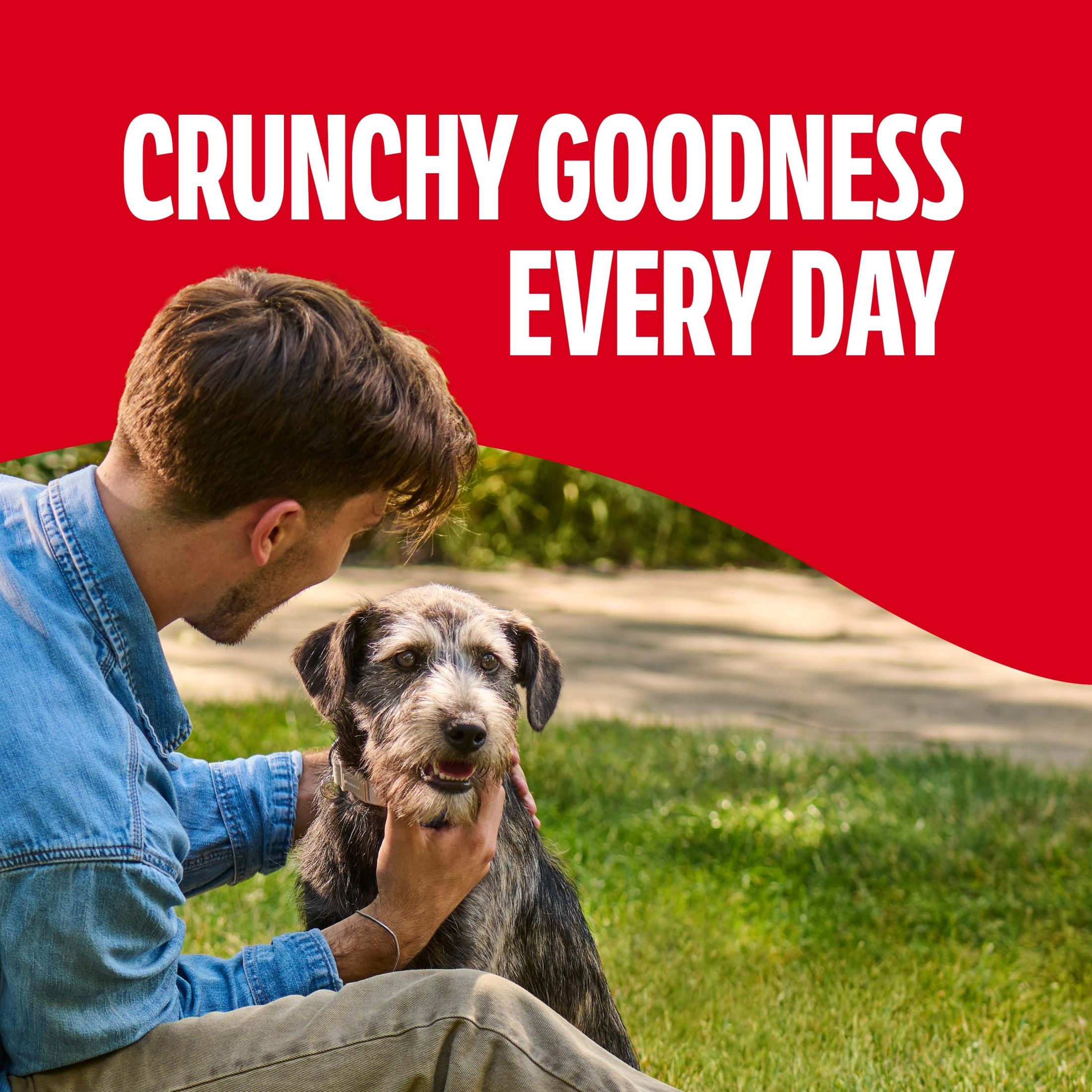 Milk-Bone GravyBones Small Dog Biscuits, 7 Lb photo 4