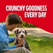 Milk Bone GravyBones Dog Biscuits, Gravy Coated Small Dog Treats, 60 oz Box