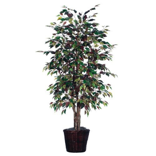Vickerman 26514 6' Mystic Ficus Executive (TEX0560) Ficus Home Office