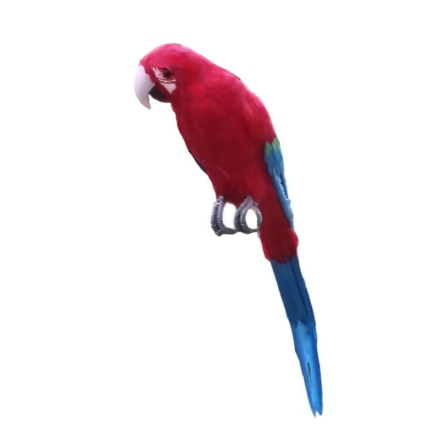 Figura decorativa de pájaro, modelo de decoración de mesa para decoración del hogar y Loro grande