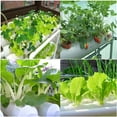thumbnail image 6 of TECHTONGDA Hydroponic 36 Holes Site Grow Kit Pipeline Vegetable Planter Garden Plant System Indoor Grow Kit with Wheel, 6 of 13