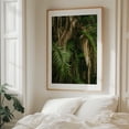 thumbnail image 6 of Balboa Park Foliage, San Diego 03 - San Diego California Photography Palm Tree Tropical Nature Botanical Jungle Forest Wilderness Unframed Wall Art Print 12 x 16 inches, 6 of 12