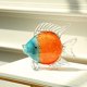 thumbnail image 1 of Descuento Figuritas de cristal de vida marina, peces tropicales, arte de Murano, miniaturas artesanales, figuras de animales para adorno para acuario o decoraciones para acuario, 1 of 5