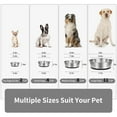 thumbnail image 2 of Dog Bowls Taglory de acero inoxidable, juego de 2 para perros medianos, 2 of 6