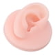 thumbnail image 3 of Modelo de Oreja de Silicona Suave Modelo de Oído Humano de Simulación Profesional Práctica de Perforación de Oreja Falsa Reutilizable para Exhibición de Joyas Maniquí de ANGGREK Otros, 3 of 8