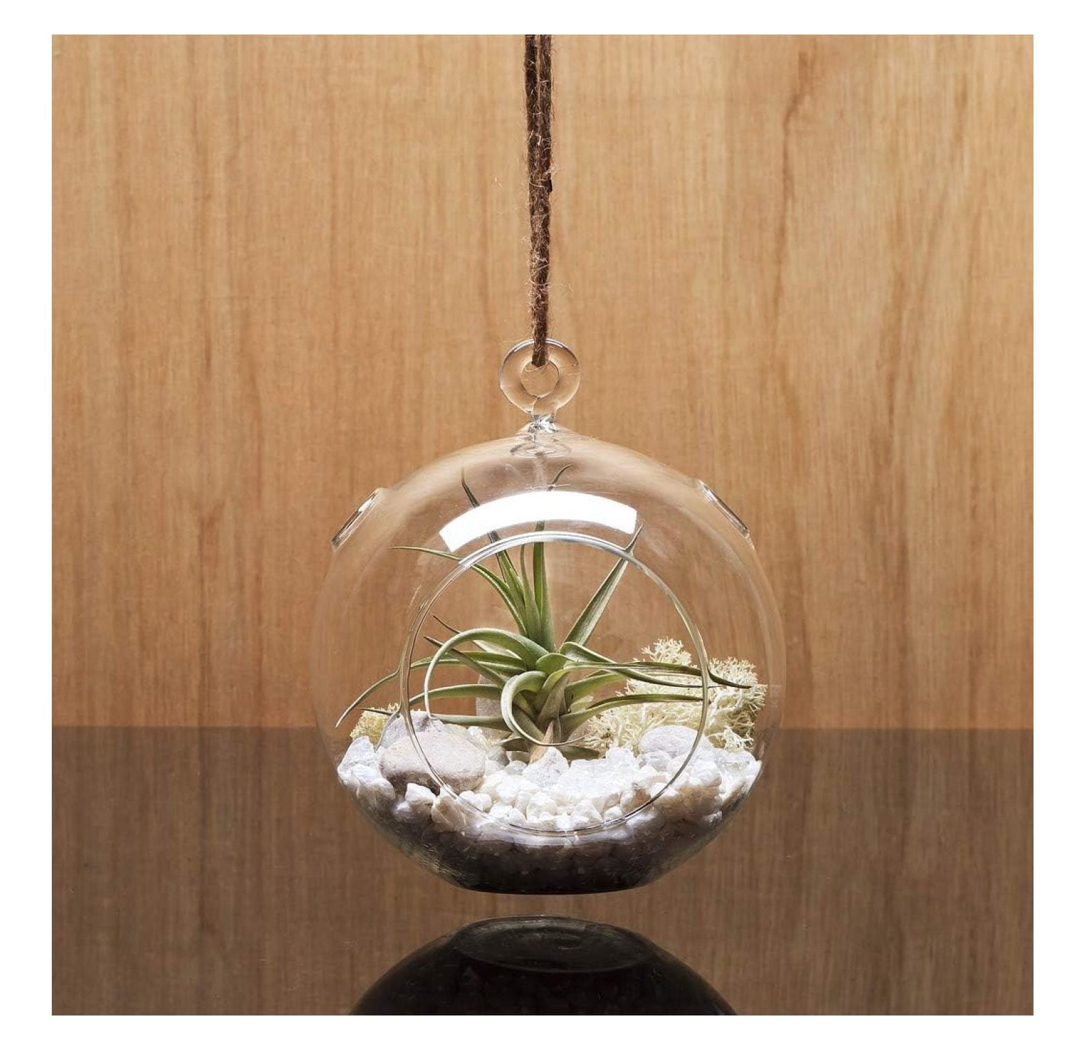 WGV Hanging Terrarium Globe, Width 4", Height 4.75", DIY Air Planter, Clear Glass Vase Orb with Flat Bottom, Candle Holder for Windowsill Outdoor Garden Decor, 12 Pieces Bulk