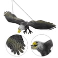thumbnail image 3 of Decoración de Águila en vuelo, espantapájaros de plástico realista con Águila en vuelo colgante, espantapájaros falso, Control de gato y pájaro para decoración de jardín, 3 of 4