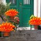 thumbnail image 4 of pstuiky Flores artificiales falsas de eucalipto plantas de eucalipto de 7 tenedores camelia silvestre flores decorativas para el hogar y el exterior., 4 of 6