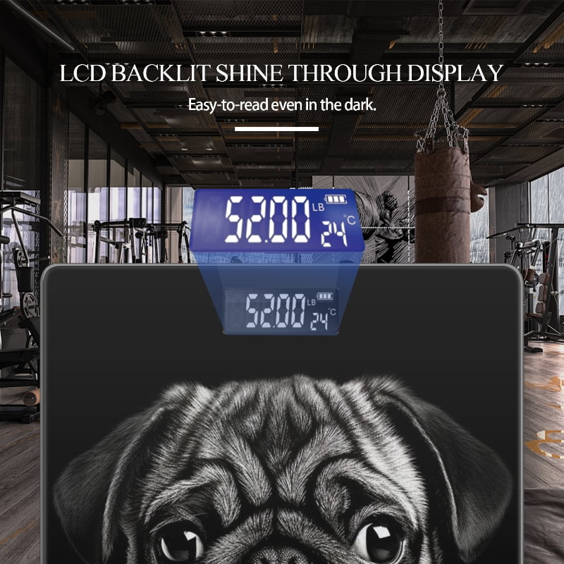 Bathroom Scale, Highly Accurate Digital Body Scale,Precisely Measures Weight up to 400 lbs-Black And White Pug Portrait On Black Background