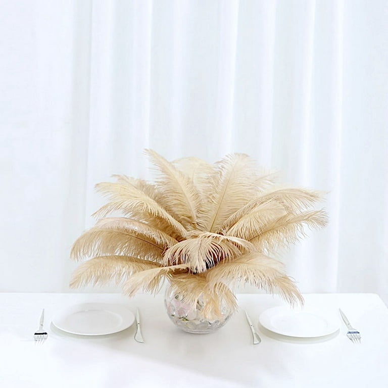 BalsaCircle 12 Pieces 13-15 Authentic Ostrich Feathers