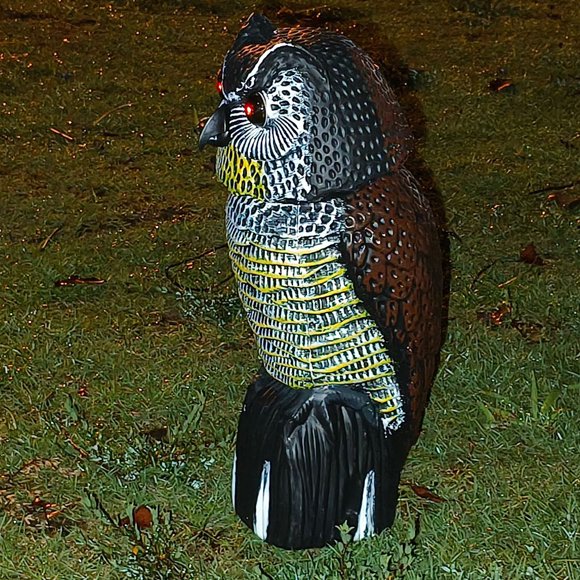 VONKY Garden Squirrel Owl Scarecrow With Vivid And Realistic Features Solar Powered Eyes Light Up Owl Head