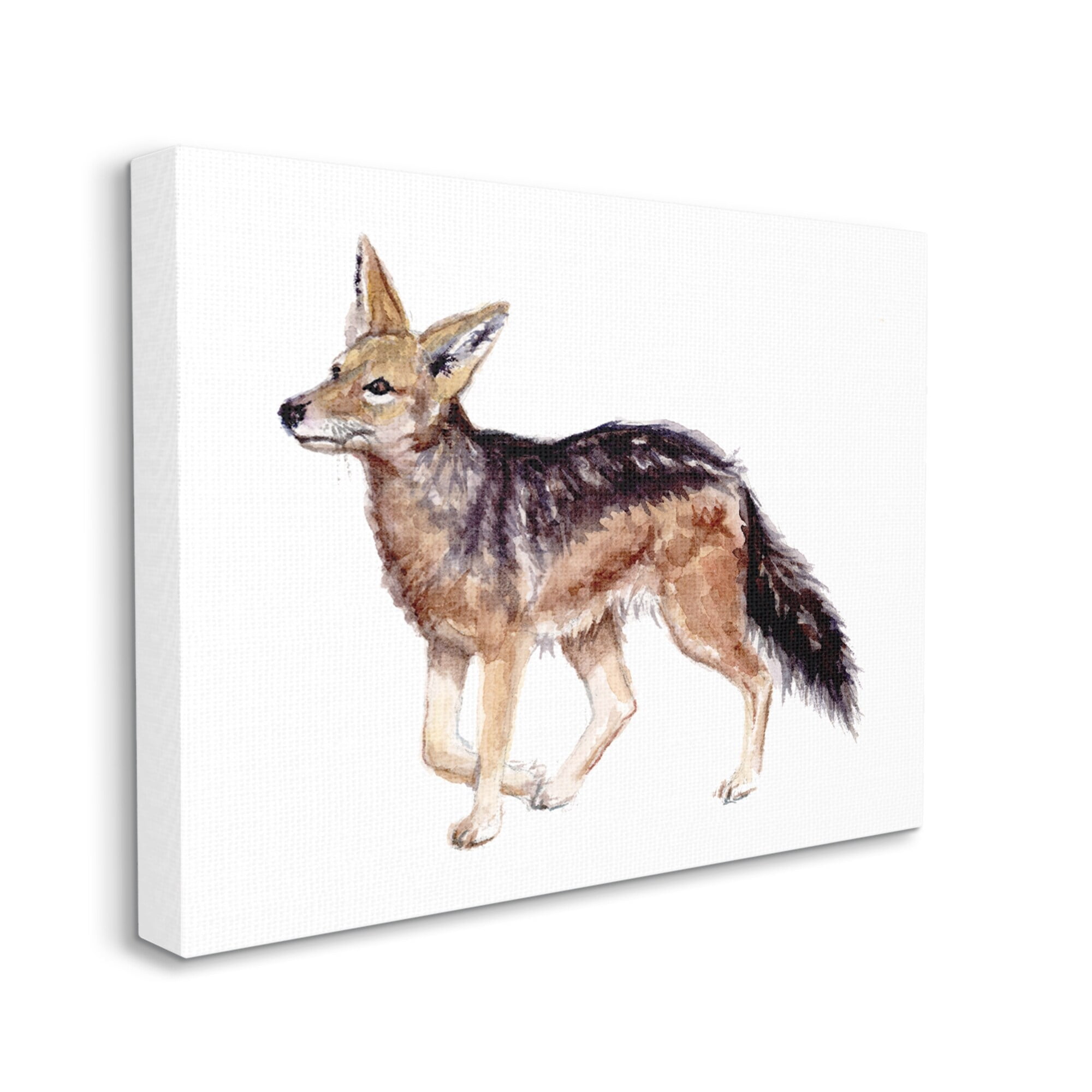 Stupell Industries Wild Jackal Watercolor Portrait Nursery Children's Animal, 20 x 16,Design by Fox Hollow Studios