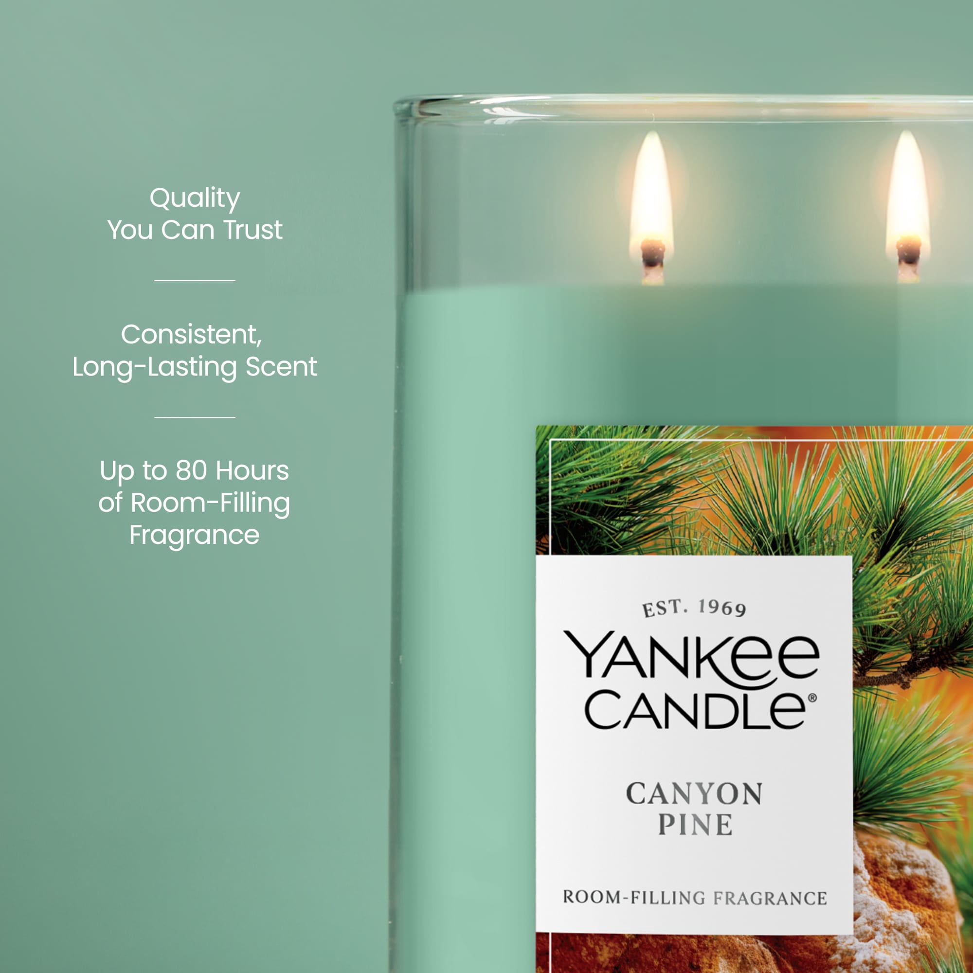 Yankee Candle Canyon Pine Large Tumbler Scented Candles, 20 oz