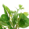 thumbnail image 2 of USHOBE Aquatic Plants Ornament Fish Tank Fake Plant Realistic Appearance Decoration 1Pcs, 2 of 8