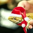 thumbnail image 3 of Xihbxyly Conjunto de Gorro y Bufanda Navideños para Mascotas, Poliéster Suave, Correa Ajustable para La Barbilla, Mini Gorro de Papá Noel para Gallinas y Mascotas Pequeñas, Perfecto para Fiestas Navi, 3 of 7