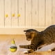 thumbnail image 4 of Great promotion! Leakage Light Bulb Tumbler Cat Toy, 4 of 5
