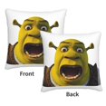 thumbnail image 3 of Fundas de almohada de terciopelo Shrek, fundas de almohada decorativas suaves y acogedoras con cremallera oculta para dormitorio, sofá, sillón, funda de almohada de terciopelo, 3 of 8