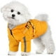 thumbnail image 1 of Mantente seco y con estilo: el compañero de lluvia impermeable de tu perro, 1 of 5