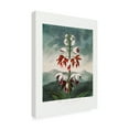 thumbnail image 3 of Trademark Fine Art Pictufy The Chinese Limodoron from The Temple of Flora 1807 Canvas Wall Art, 3 of 4
