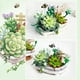 thumbnail image 2 of Bloques de construcción Planta suculenta Bonsái Bloques de construcción Decoración del hogar Ramo de flores Juguetes, 2 of 13