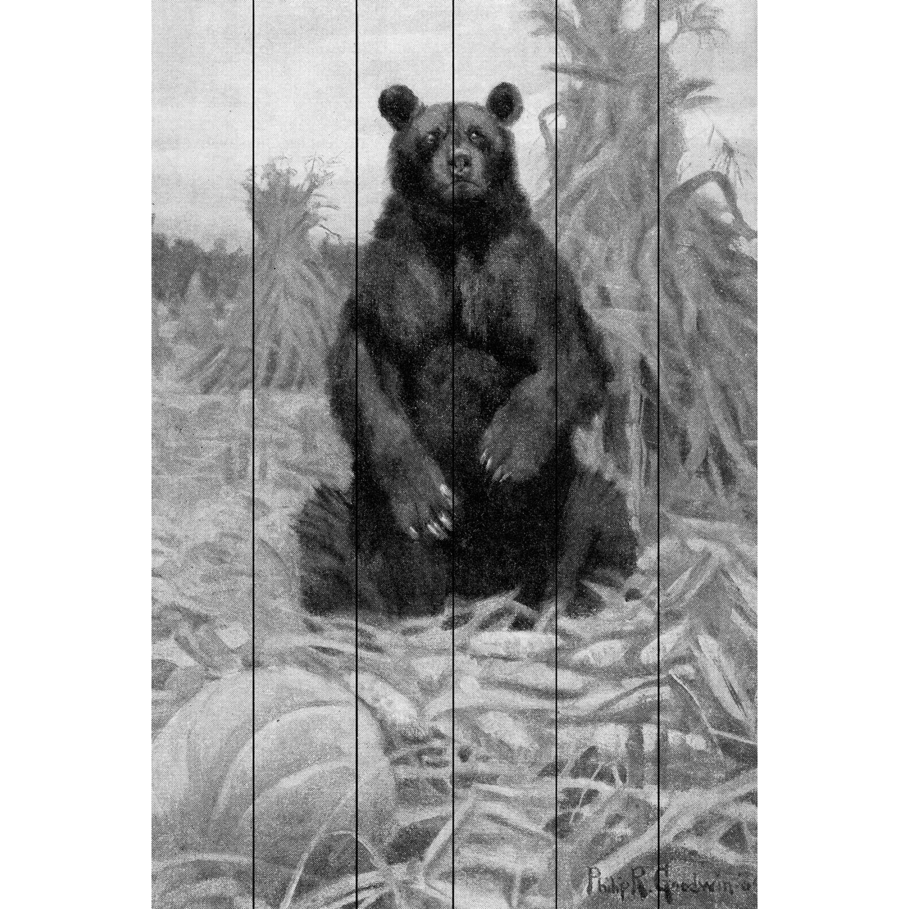 Marmont Hill "Bear in Hay BW" Painting Print on White Wood