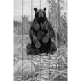 thumbnail image 3 of Marmont Hill "Bear in Hay BW" Painting Print on White Wood, 3 of 5