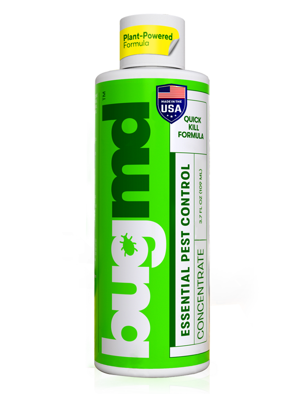 Bed Bugs in Pest Control