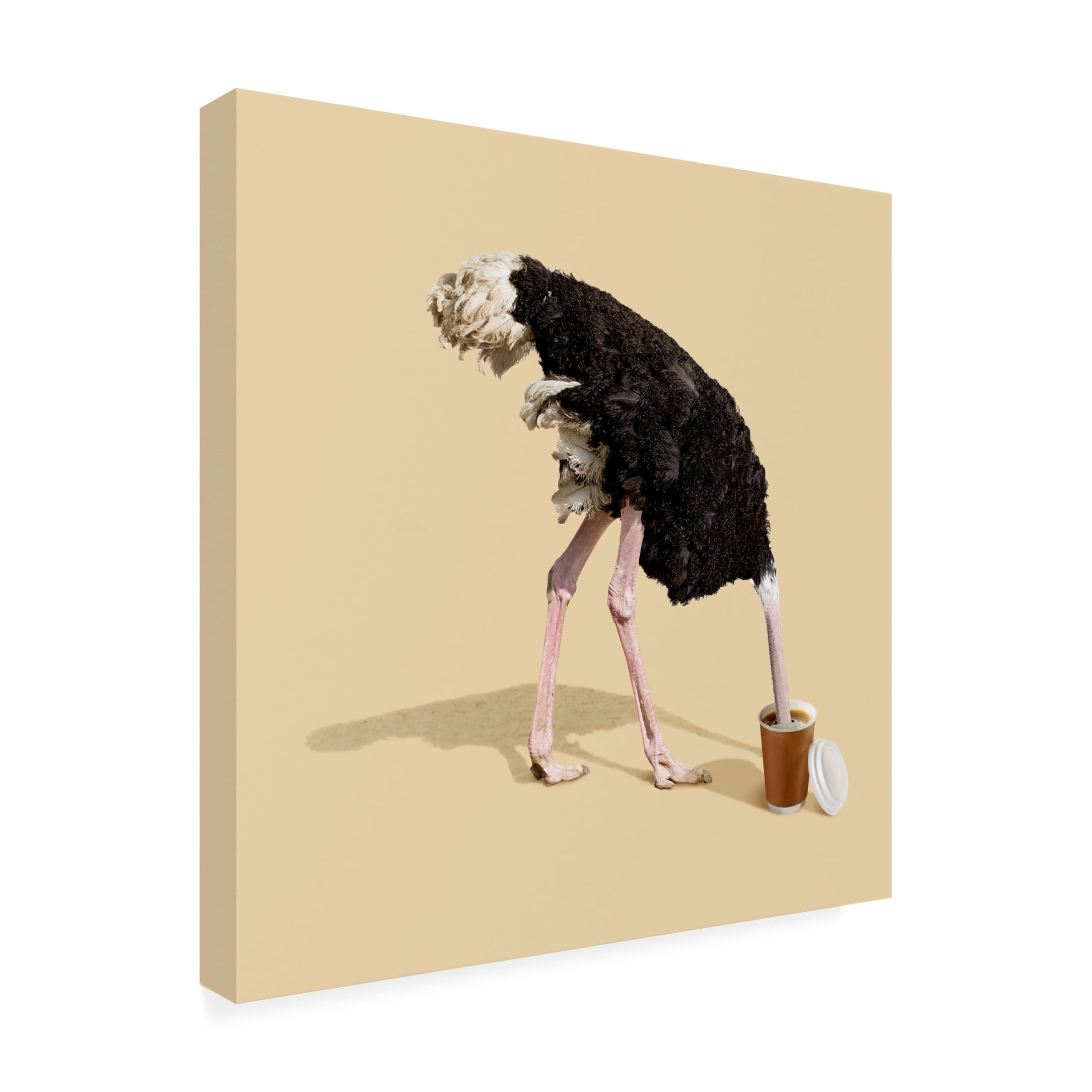 Trademark Fine Art Artem Pozdniakov Dive in Coffee Canvas Wall Art