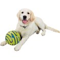 thumbnail image 3 of The Sound Ball For Dogs - As Seen On Tv, 3 of 7