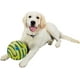 thumbnail image 2 of WOBBLE WAG GIGGLE La bola de sonido para perros - Como se ve en la televisión Adepaton YQ-1513, 2 of 6