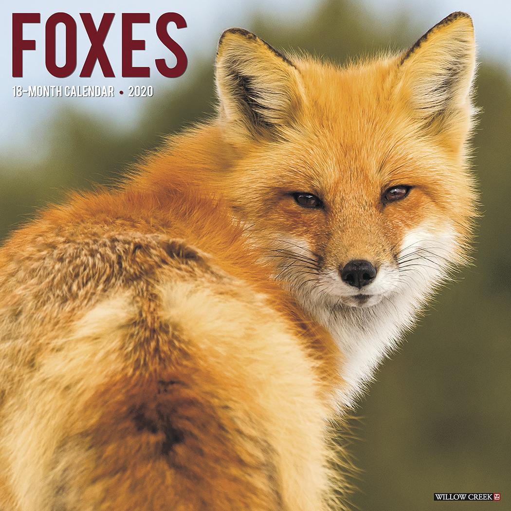 Календарь с лисами. These are foxes