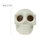 thumbnail image 5 of Mom's Best Juguetes para aliviar el estrés con forma de calavera para Halloween, 5 of 5