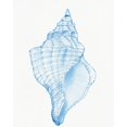 thumbnail image 2 of OToole, Tim 12x14 White Modern Wood Framed Museum Art Print Titled - Blue Shell I, 2 of 4