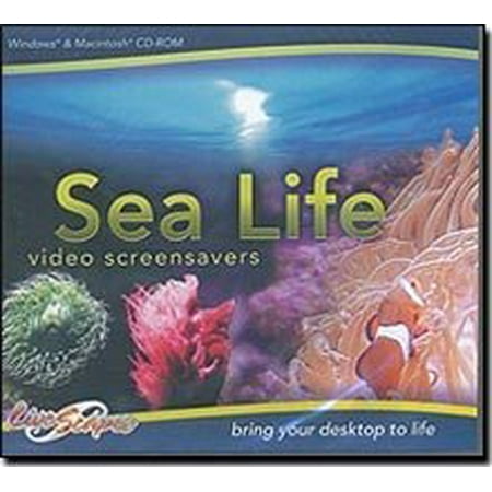 Sea Life Video Screensavers - Walmart.com