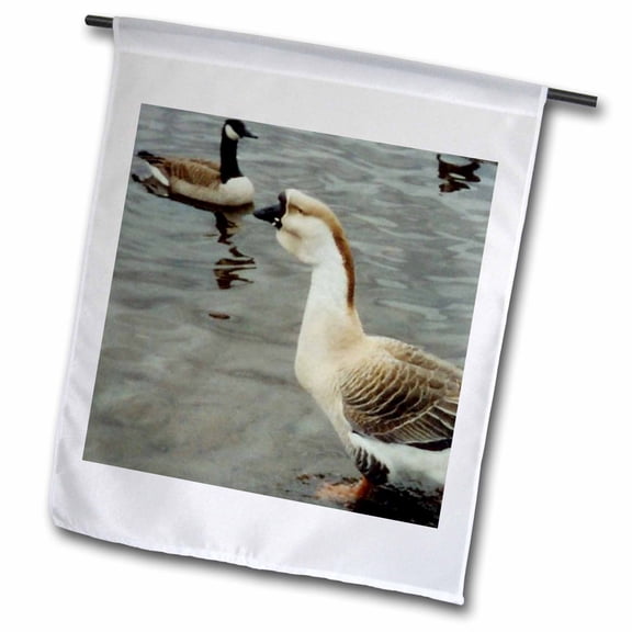3dRose, Mother Goose With Canadian Geese, 12 x 18 inch Garden Flag
