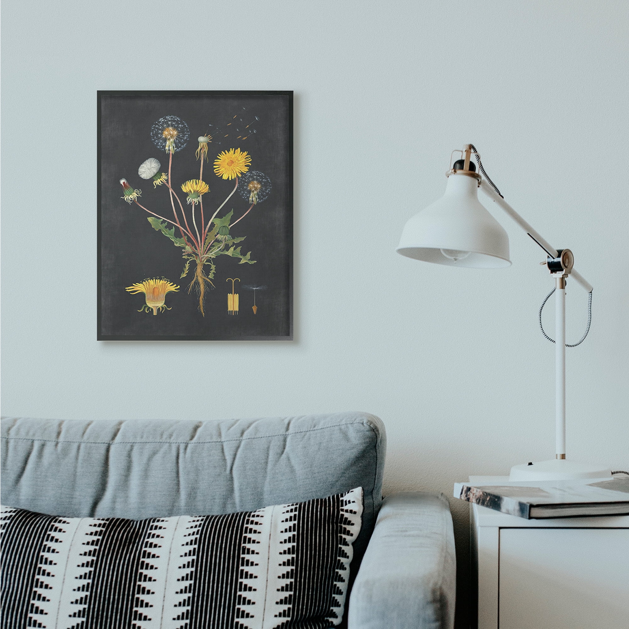 Stupell Industries Botanical Drawing Dandelion On Black Design Framed Wall Art by Lettered and Lined