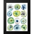 thumbnail image 2 of Vess, June Erica 12x14 Black Modern Framed Museum Art Print Titled - Sea Urchin Assortment I, 2 of 5