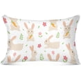 thumbnail image 3 of GZHJMY Rabbit Queen Pillowcase Super Soft Cozy Plush Pillow Case with Zipper for Sofa Bed Couch, 20 x 30 Inch, 3 of 7