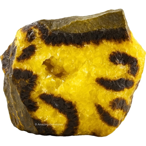 Septarian Raw Crystals and Healing Stones (1 Piece)