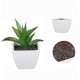 thumbnail image 3 of Pot Carr Sincero Plastique Pour Plantes Succulentes Ensemble De 6 Pices, 3 of 5
