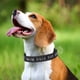 thumbnail image 4 of Collar de perro personalizado, nombre de mascota y número de teléfono bordados personalizados, anillo en D de liberación rápida, 4 of 5