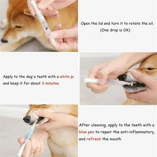 How To Keep Dogs Teeth White how-to-keep-dogs-teeth-white