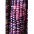 thumbnail image 3 of Sherwood's Seeds Amethyst Dream Purple Glass Gem Cherokee Corn Heirloom Seed Packet, Premium, 3 of 3