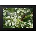 thumbnail image 2 of Gardner, Paul 14x11 Black Modern Framed Museum Art Print Titled - Red Pollinator, 2 of 5