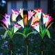thumbnail image 1 of Luces solares para jardín de exterior de 3 piezas, decoración solar con forma de lirio que cambia de color, multicolor, impermeables (blanco, rojo y morado), 1 of 5