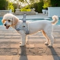 thumbnail image 4 of Pet No Pull Dog Harness with Breathable Mesh Padded, Adjustable Reflective Escape Proof Dog Harness, Quick Fit Dog Vest Harness for Small Medium Large Dogs, 4 of 9